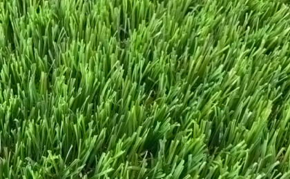 Artificial Grass