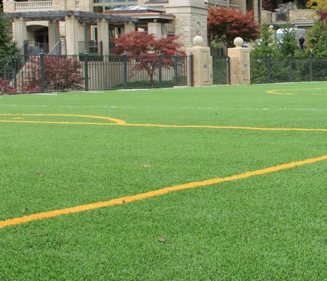 Buy Premium Quality Grass From Sport Grass Supplier Perth