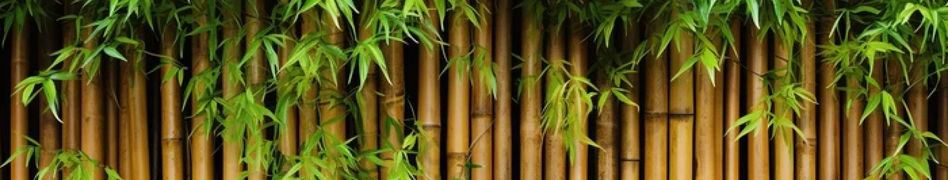 Premium Quality Bamboo Fencing Panels in Perth.