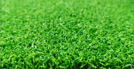 Sport Turf